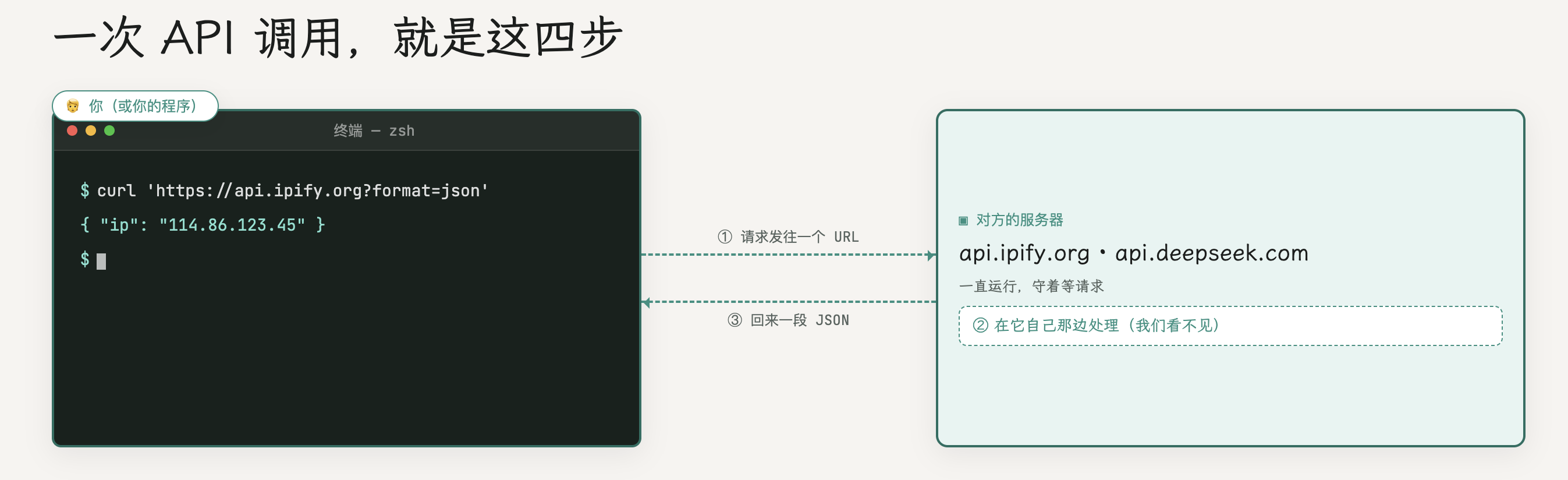 模块 5.1：究竟什么是 API？